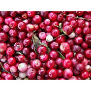 Fragrance Cranberry