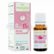 PranaBB Assainissant pour diffuseur 10ml