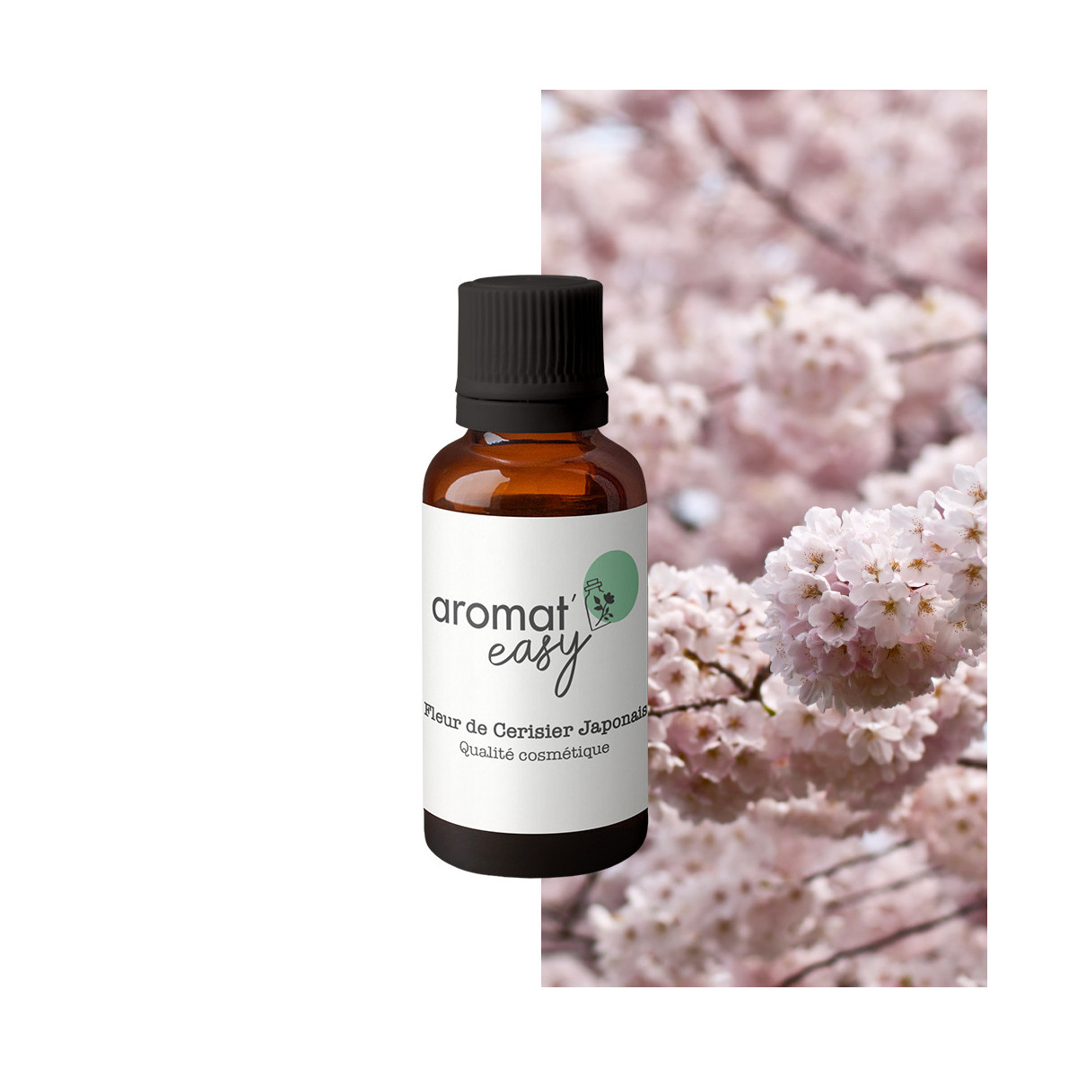 Fragrance Fleur de Cerisier Japonais