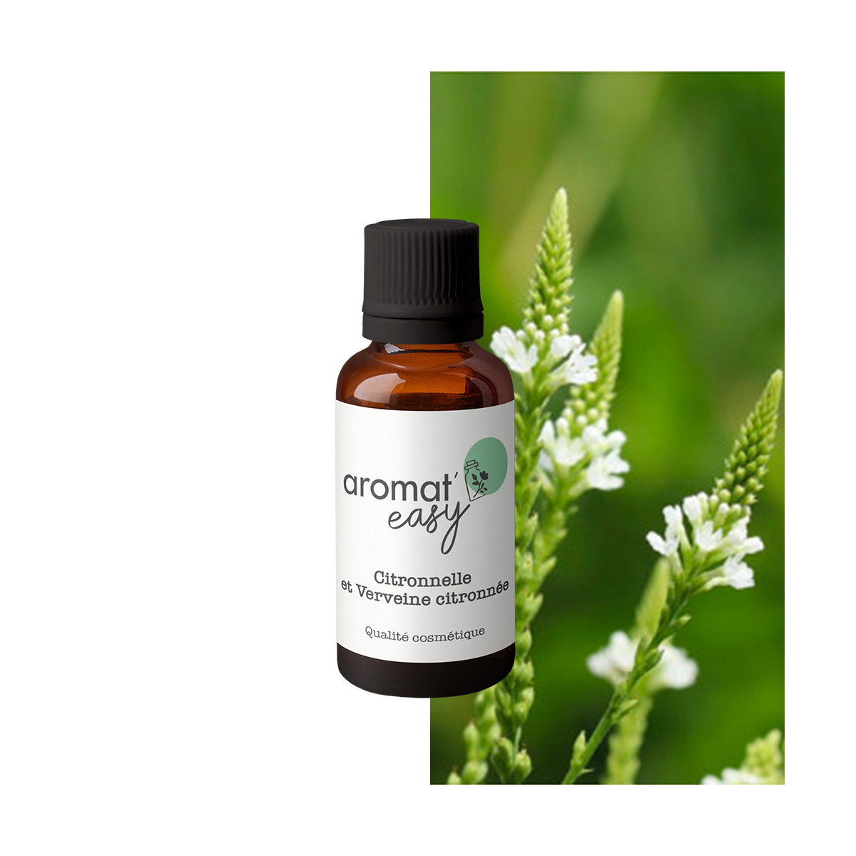 Fragrance Citronnelle et Verveine citronnée