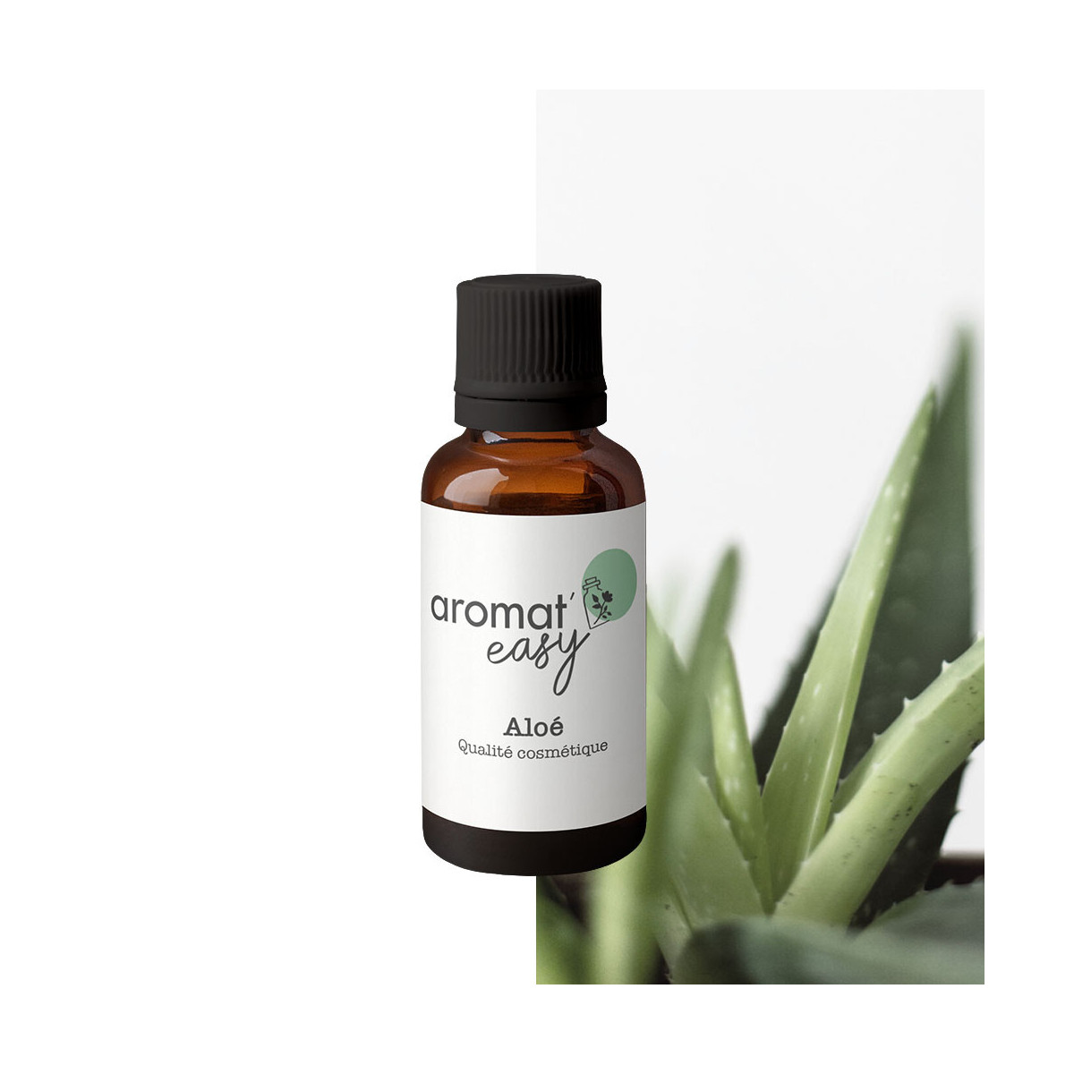 Fragrance Aloe (Grasse) Sans allergène