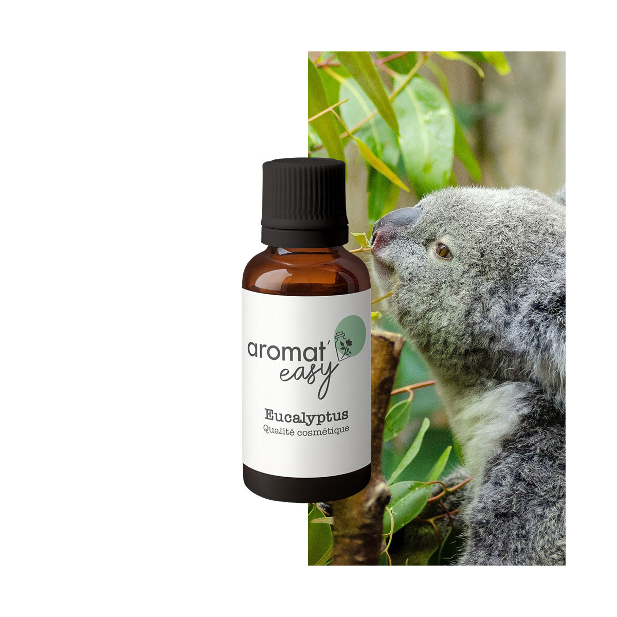 Fragrance Eucalyptus (Grasse) Sans allergène