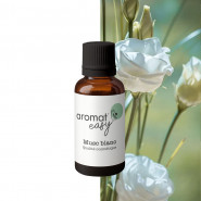 Fragrance Musc Blanc
