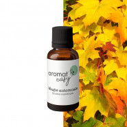Fragrance Magie automnale