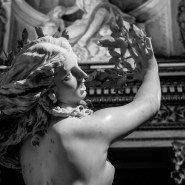 Fragrance Aphrodite
