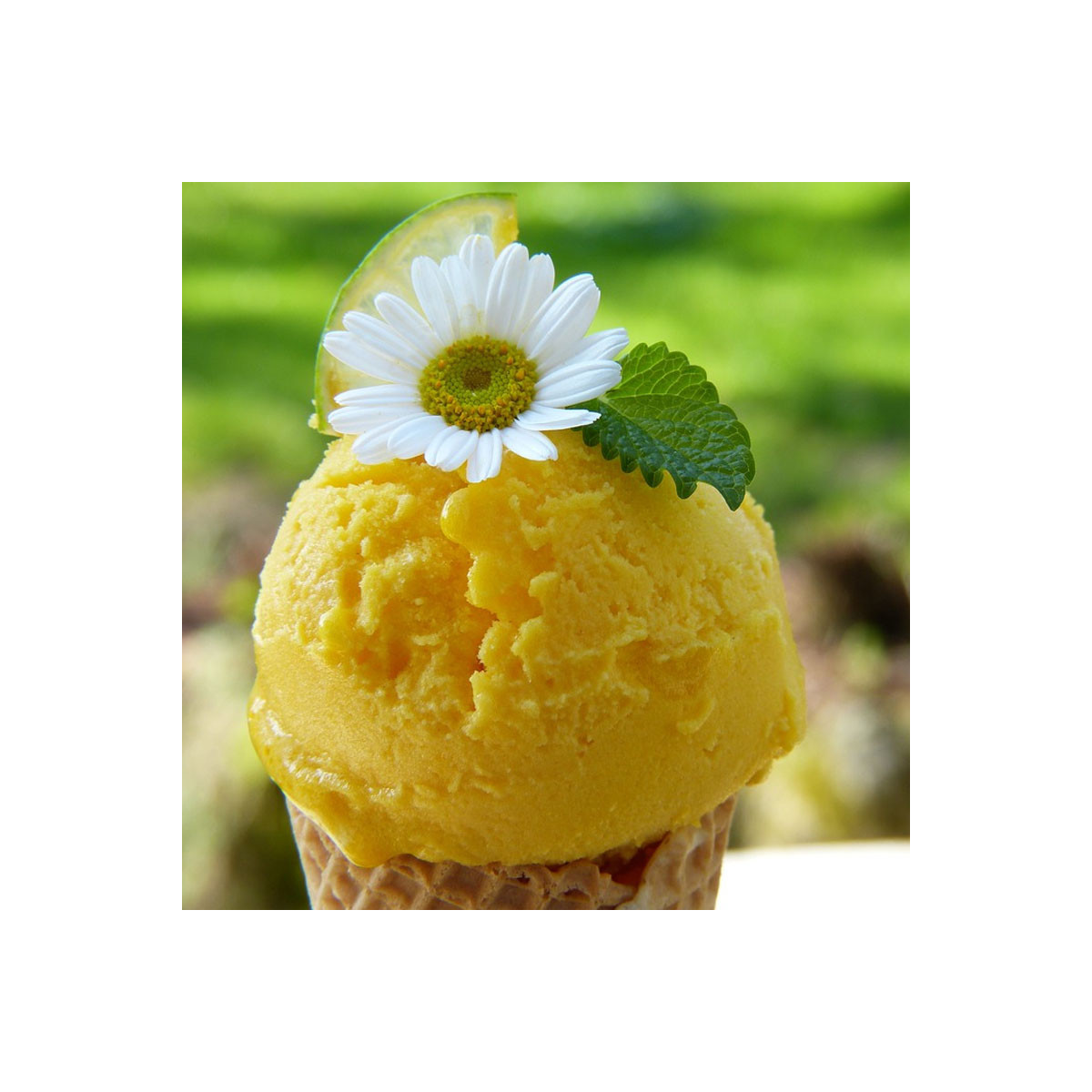 Fragrance Sorbet au Citron