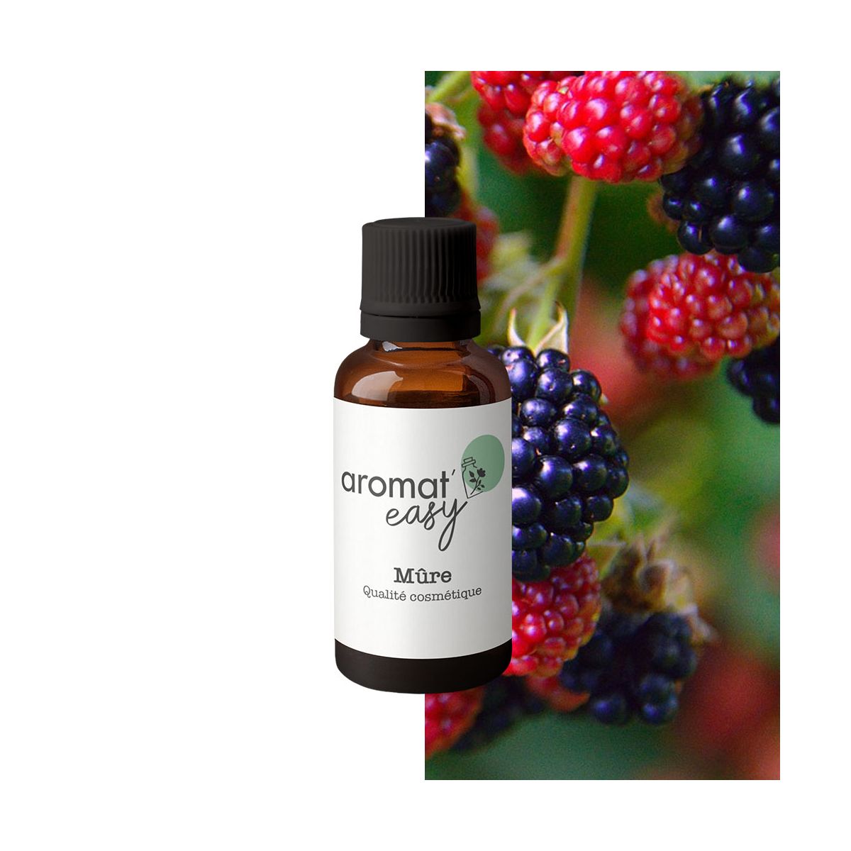 Fragrance Mûre