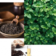 Fragrance Infusion de fraîcheur