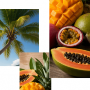 Fragrance Fruits exotiques